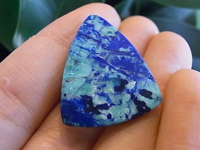 BU00332F �֥롼�С��ɡ������饤��