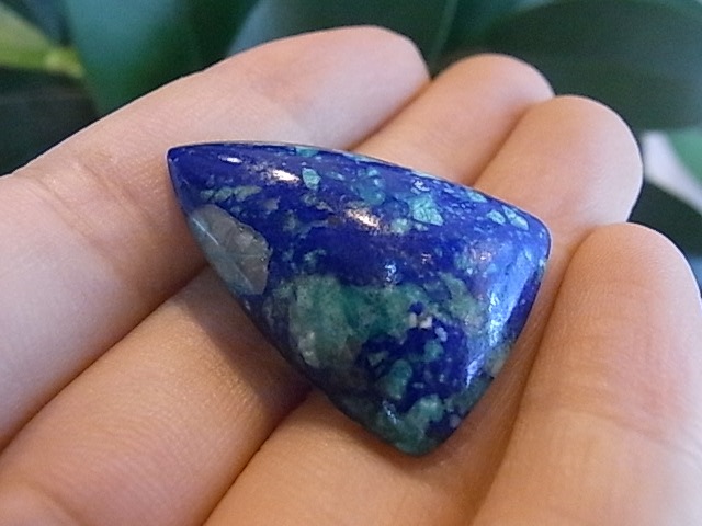 BU00335F �֥롼�С��ɡ������饤��