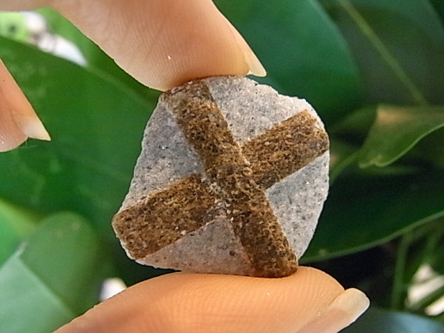 BU00378�ơ����������饤�ȡ���������