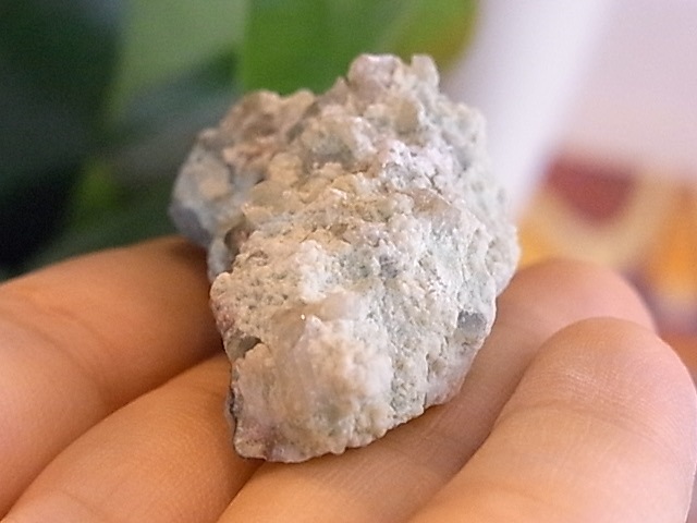 BU00459F�����ۥ��������ꥫ�륻�ɥˡ���������