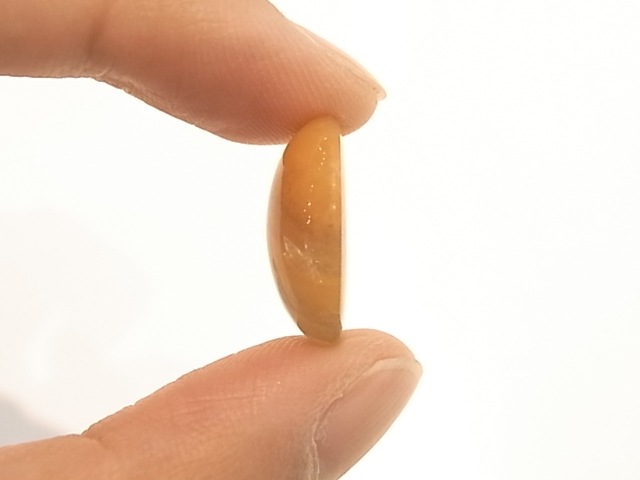 GA00041F������󥸥��ѡ���ʶ��ָ��ˡ��̳�ƻ���̸л�