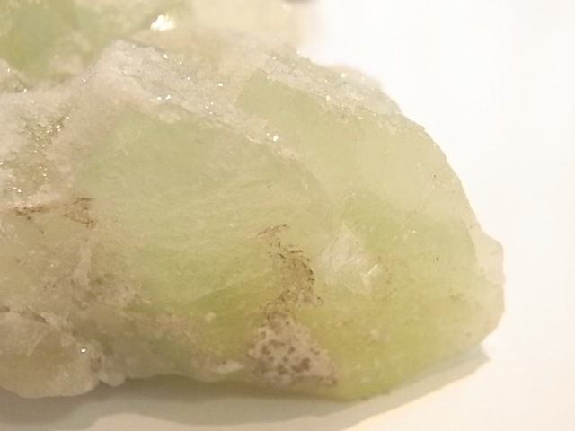 GA00053F���ɥ��롼�����ե����饤�� ����