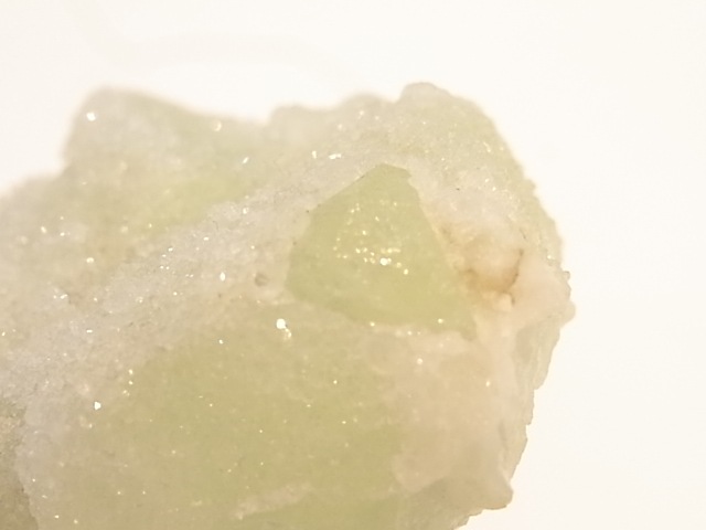GA00054F���ɥ��롼�����ե����饤�� ����