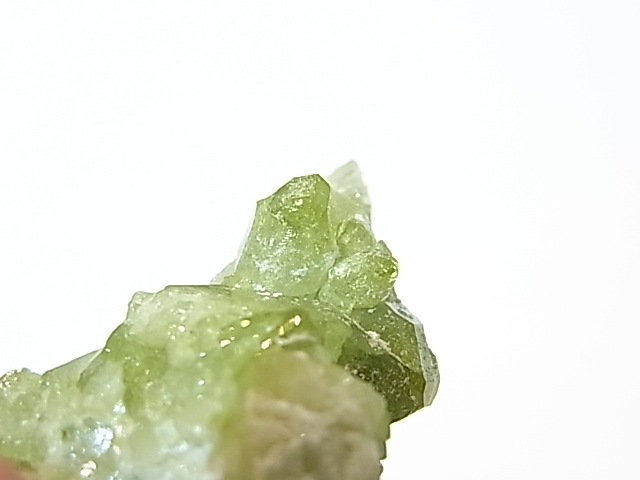 GA00032K���Ե������Сե٥��ӥ��ʥ��ȡʥ����ɥ��졼���˥���ꥫ�����٥å�����