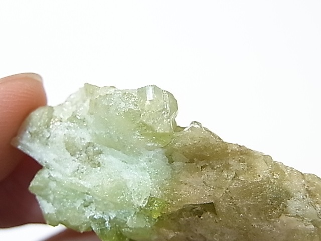 GA00032K���Ե������Сե٥��ӥ��ʥ��ȡʥ����ɥ��졼���˥���ꥫ�����٥å�����