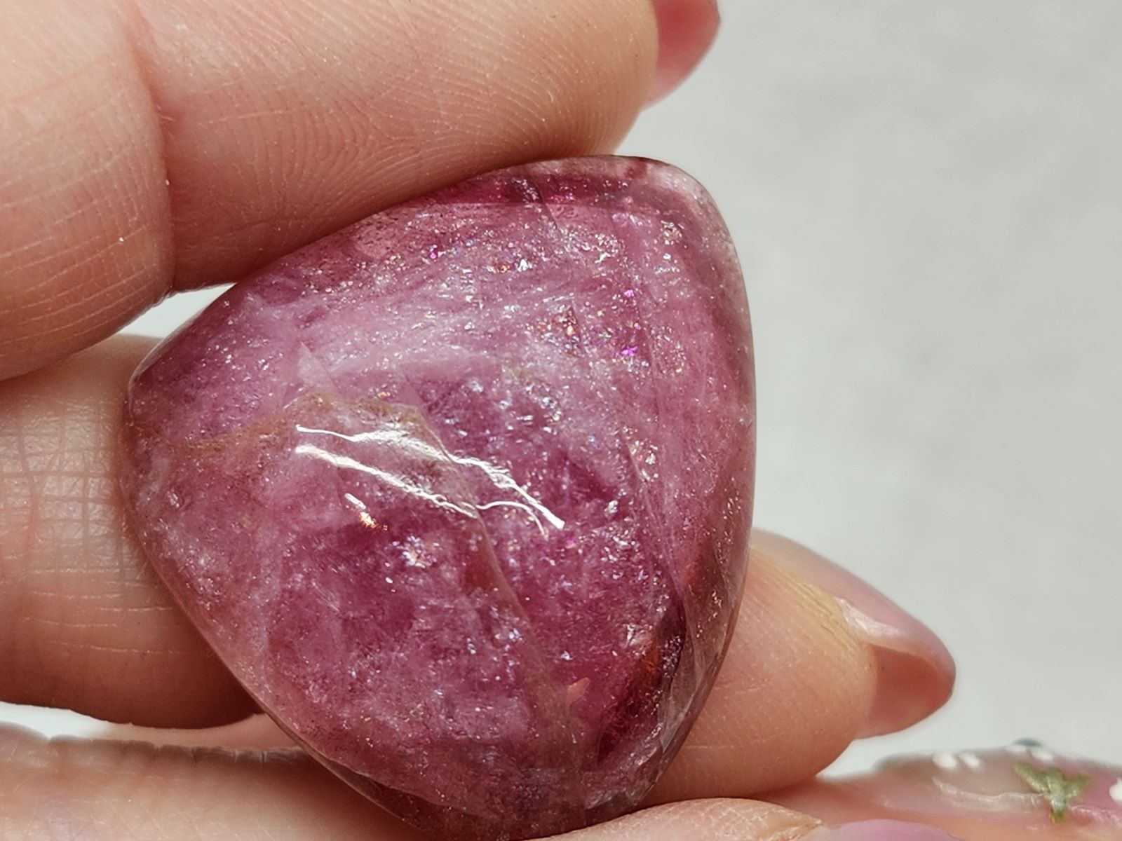 CAIT0008F ȥޥ 롼ʥ