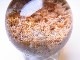 CA00088F���ե������ǥ󥯥����ġ��ݶ�