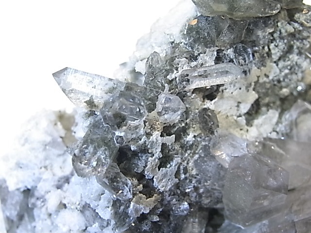 GA00072K�����֥��徽���ե�󥹻�������