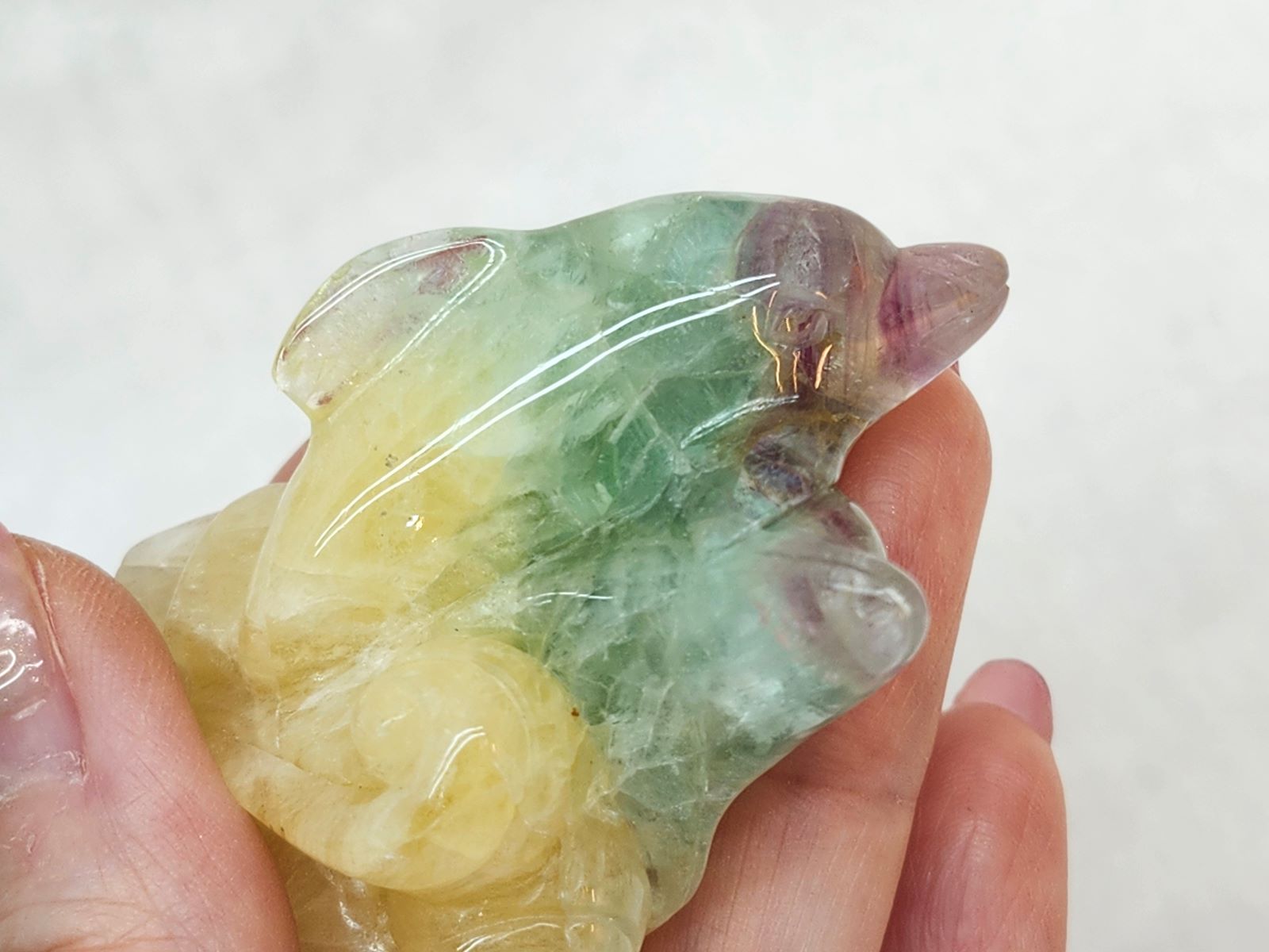 CAIT0009F �ե����饤�ȡԥ��륫��