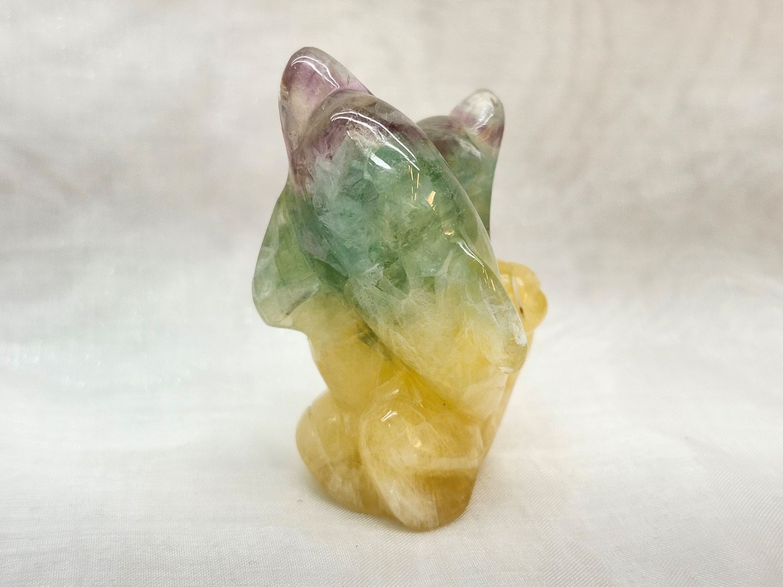 CAIT0009F �ե����饤�ȡԥ��륫��