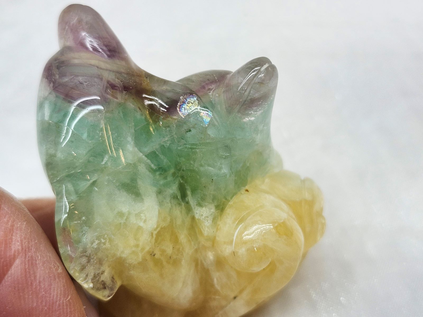 CAIT0009F �ե����饤�ȡԥ��륫��