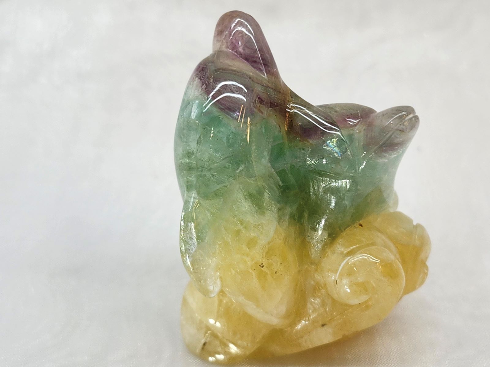 CAIT0009F �ե����饤�ȡԥ��륫��