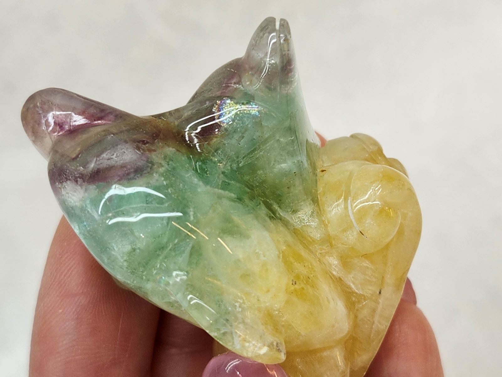 CAIT0009F �ե����饤�ȡԥ��륫��