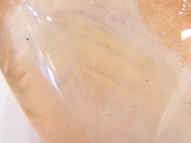 PA00089F���ڹ��ʼ��ۥ��ȥ��٥꡼�������� �ڥ����ȥȥå� �ʥ����ե����󻺡�