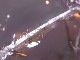 �ڥ������оݳ��ۡ�CA00090F���ڴ����Сۥ������ĥ��󥯥����ġʥ쥤��ܡ�����ˡ��ݶ�