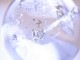 �ڥ������оݳ��ۡ�CA00090F���ڴ����Сۥ������ĥ��󥯥����ġʥ쥤��ܡ�����ˡ��ݶ�