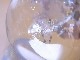 �ڥ������оݳ��ۡ�CA00090F���ڴ����Сۥ������ĥ��󥯥����ġʥ쥤��ܡ�����ˡ��ݶ�
