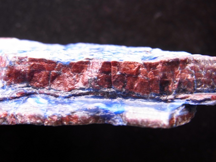 GA00141F����ҥƥ饤�ȡ����С���եꥫ��