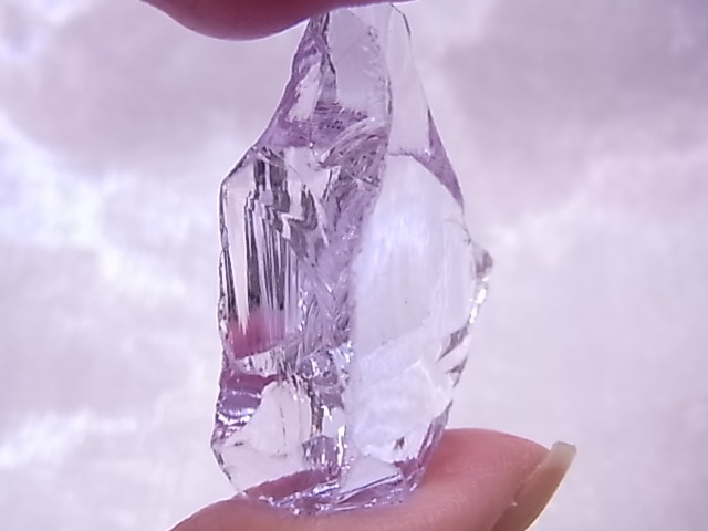 GAJ0019F饯ꥹ롡٥ѡץʥ㥹