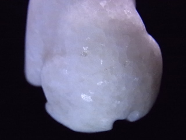 CKM0009F���򥯥ޤ��������С���ʪ����