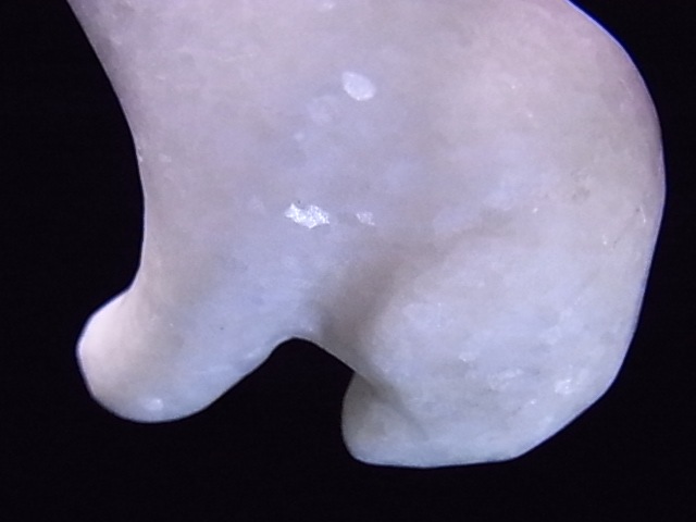 CKM0009F���򥯥ޤ��������С���ʪ����