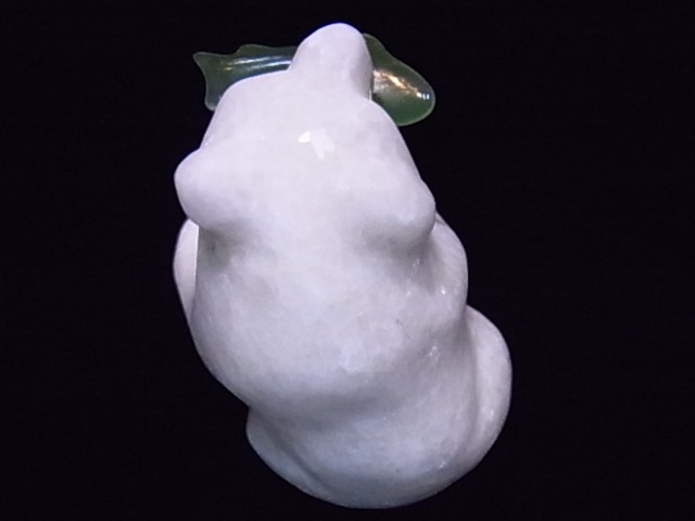 CKM0009F���򥯥ޤ��������С���ʪ����