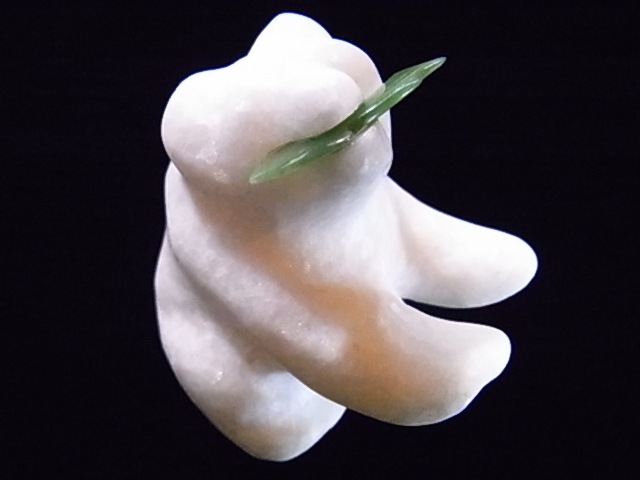 CKM0009F���򥯥ޤ��������С���ʪ����