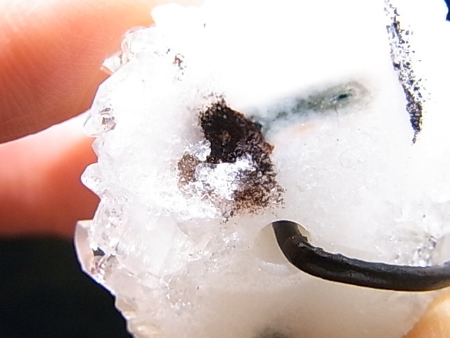 GA0001K�����ݥե��饤�ȡ����зꤢ���ڥ����ȥȥå�