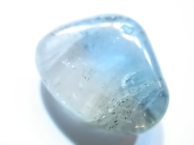 PAJ0005F ŷ���Х����顼�ȥѡ����ʥ����饤�ʻ��ˡ��ݥ�å���