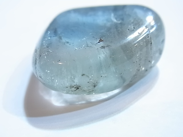 PAJ0005F ŷ���Х����顼�ȥѡ����ʥ����饤�ʻ��ˡ��ݥ�å���