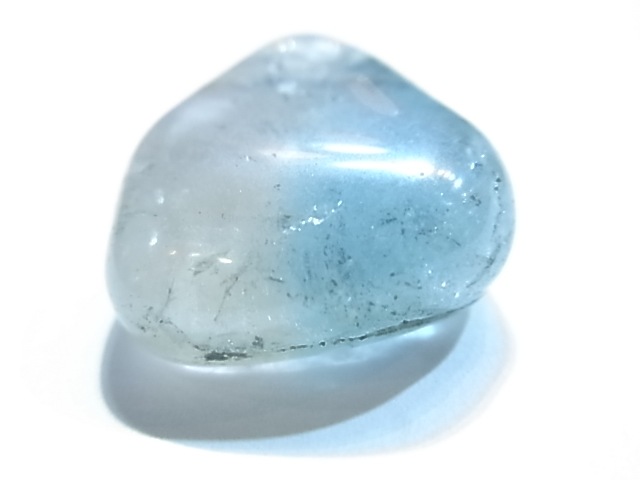 PAJ0005F ŷ���Х����顼�ȥѡ����ʥ����饤�ʻ��ˡ��ݥ�å���