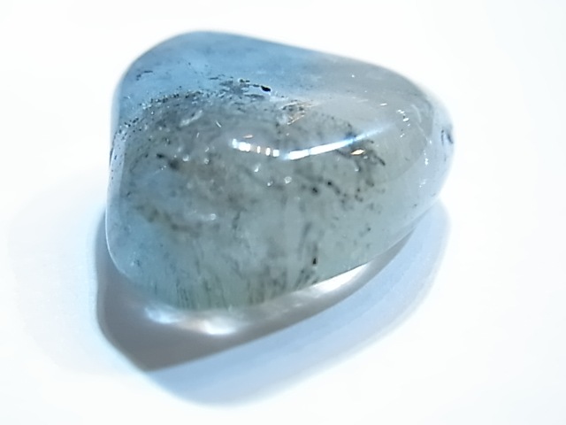 PAJ0005F ŷ���Х����顼�ȥѡ����ʥ����饤�ʻ��ˡ��ݥ�å���