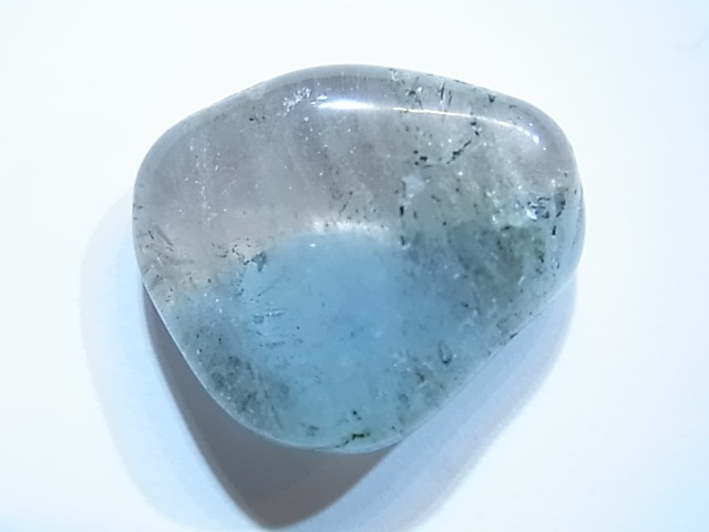 PAJ0005F ŷ���Х����顼�ȥѡ����ʥ����饤�ʻ��ˡ��ݥ�å���