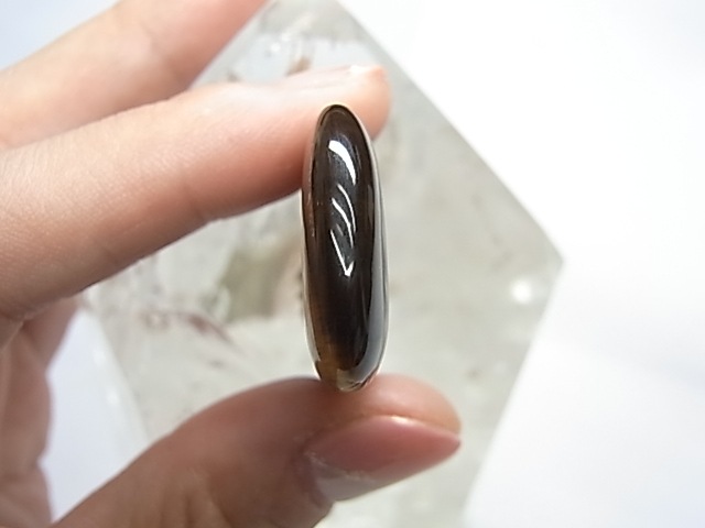 PF0037 ������������