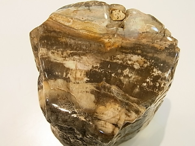 GK00015F  �ڥȥ�ե����ɥ��åɸ��С��ڴ����С�