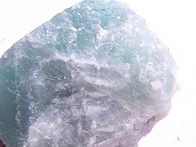 GF0027 ���꡼��ե����饤��