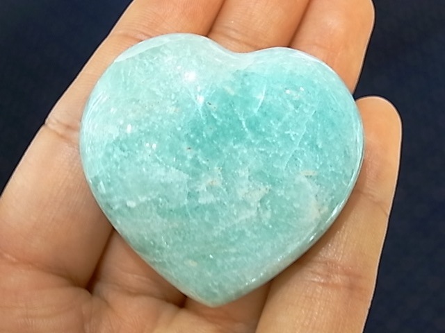 PRK00016F ޥʥȡ ϡȷݥå塡(ޥ뻺)