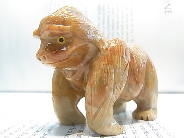 CY0021F �����ץ��ȡ���[�����]