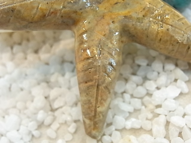 CY0024F �����ץ��ȡ���[�ҥȥ�]