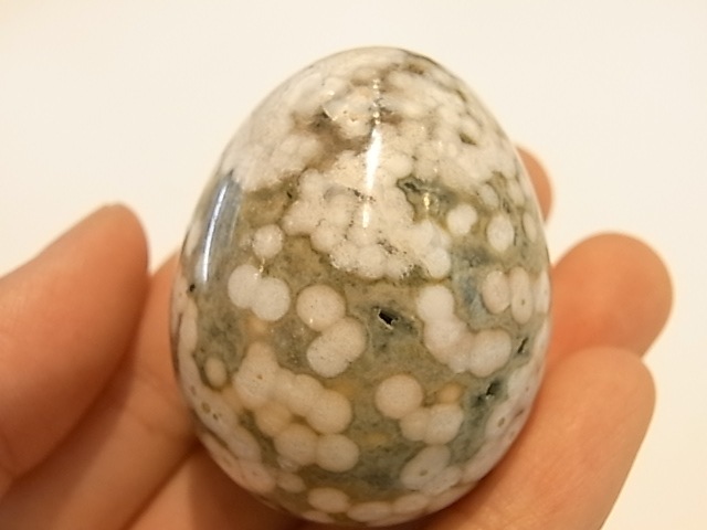 EK0006F ��������󥸥㥹�ѡ������å�