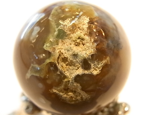 ��K00024F ��������󥸥㥹�ѡ����ݶ�