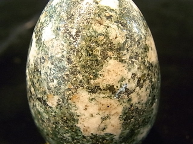 EK00011F �ץ쥻��֥롼���ȡ��󡡥��å���