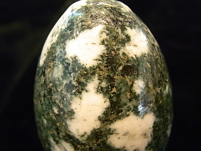 EK00012F �ץ쥻��֥롼���ȡ��󡡥��å�