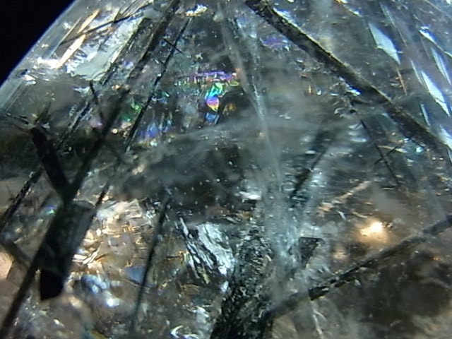 PRK00032F �֥�å�����롡�ݥ�å���