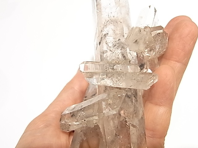 TG000015T�����٥åȥ������ġ�����