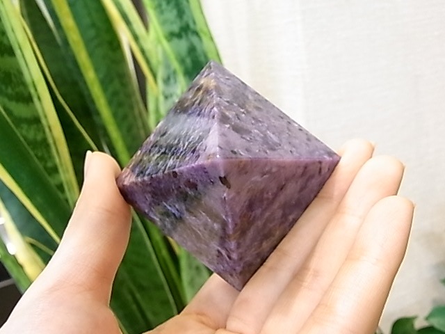 UE00011K������������� �ԥ�ߥå�