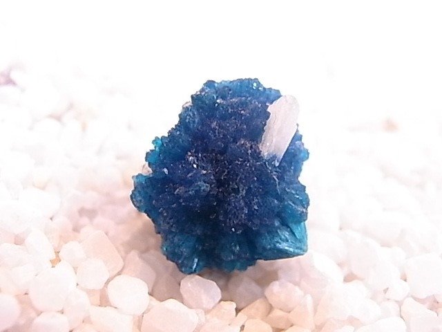 BU0125F ���Х󥵥��ȸ��С�����ɻ�