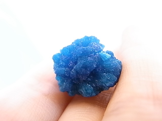 BU0128F ���Х󥵥��ȸ��С�����ɻ�