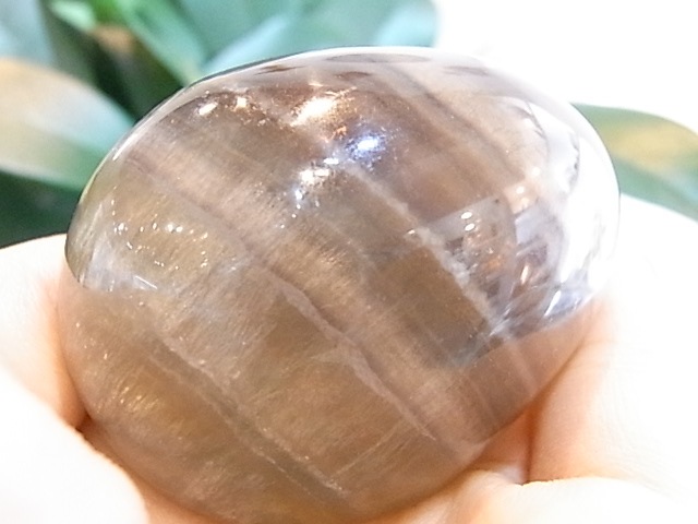 BU00135F �ե����饤�� ���å�