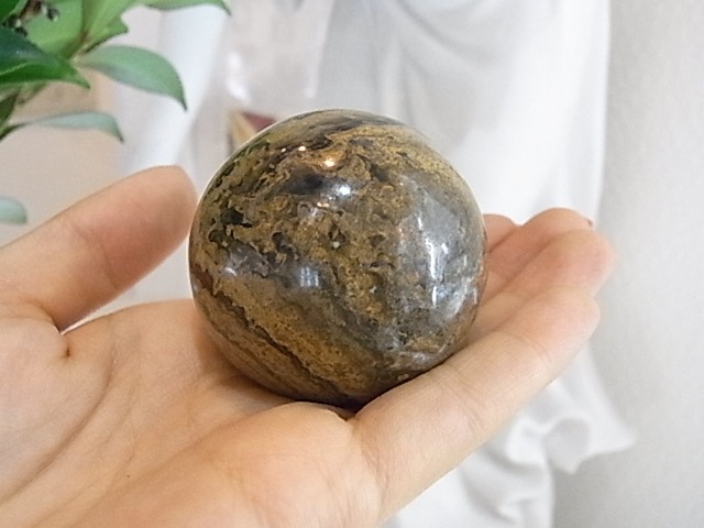 BU00174�����ȥ��ޥȥ饤�ȡ��ڥ롼��